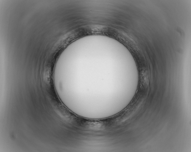 X0000115030698200911091343