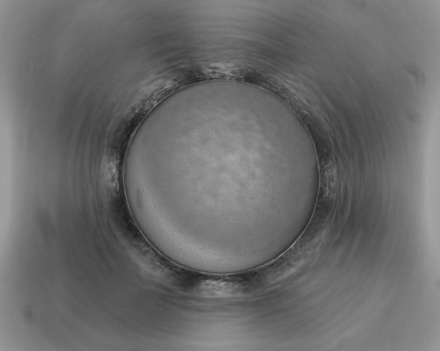 X0000115030699200911091343