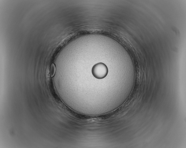 X0000115030700200911091343