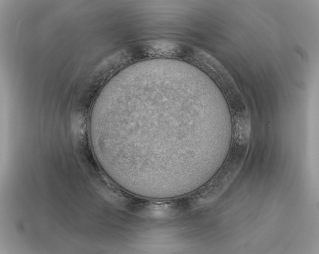 X0000115030701200911091343