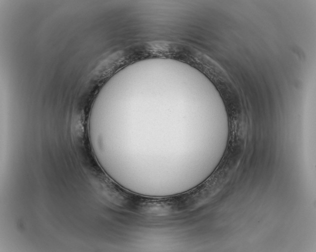X0000115030702200911091343