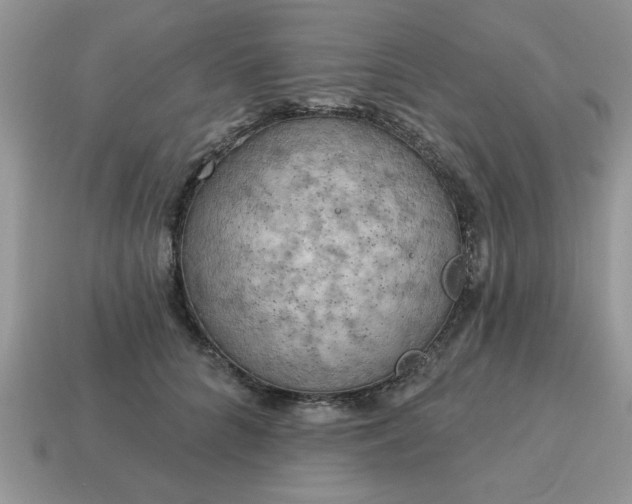 X0000115030704200911091343