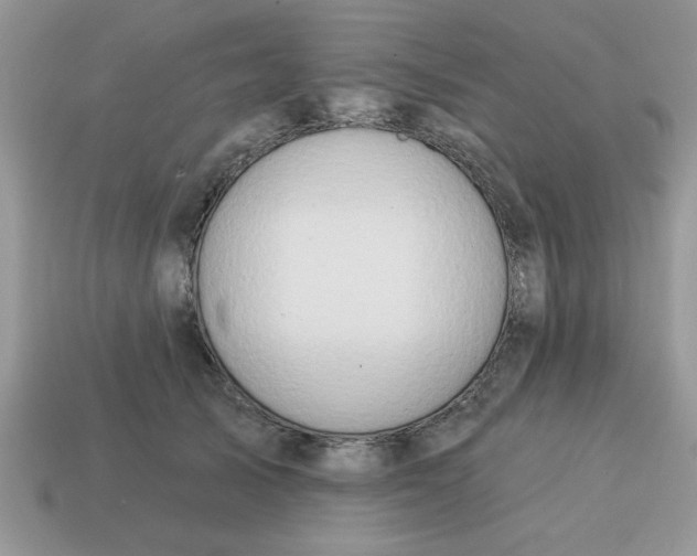 X0000115030705200911091343