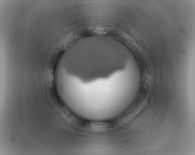 X0000115030707200911091343