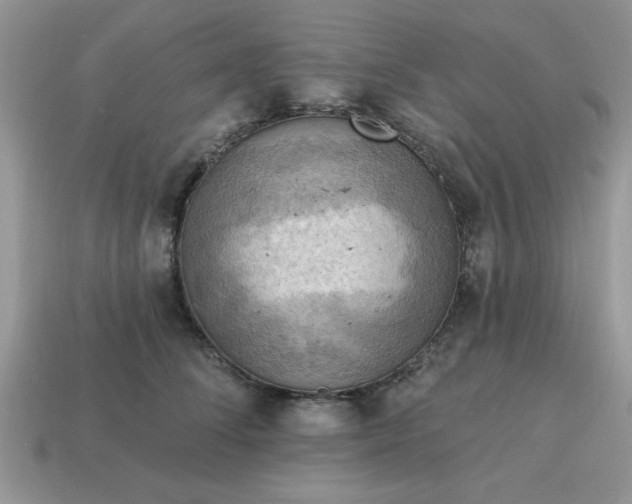 X0000115030708200911091343