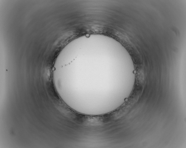 X0000115030709200911091343