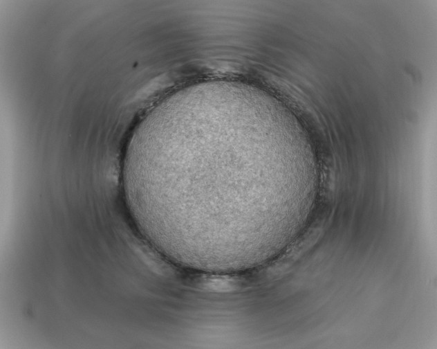 X0000115030710200911091343
