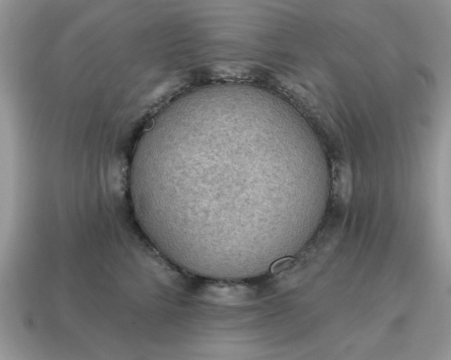 X0000115030712200911091343