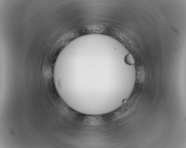 X0000115030713200911091343