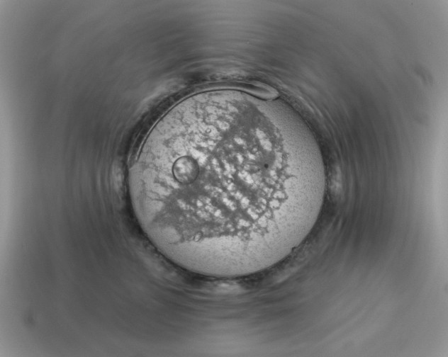 X0000115030715200911091343