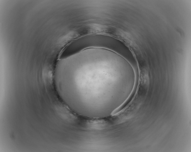 X0000115030716200911091343