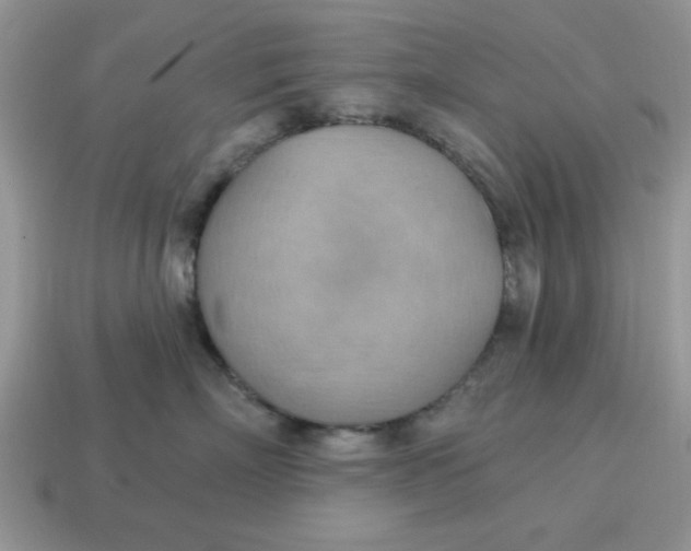 X0000115030718200911091343