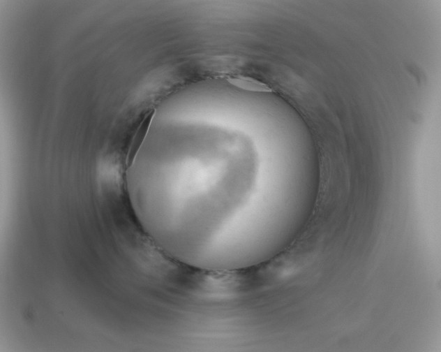 X0000115030720200911091343