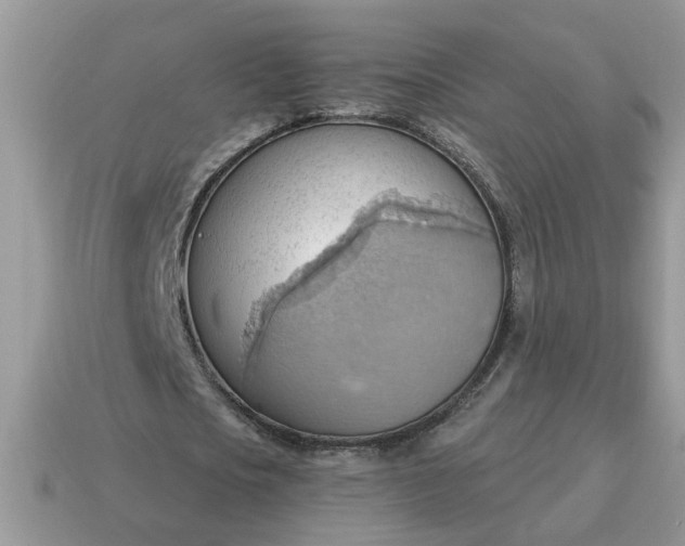 X0000115030721200911091342