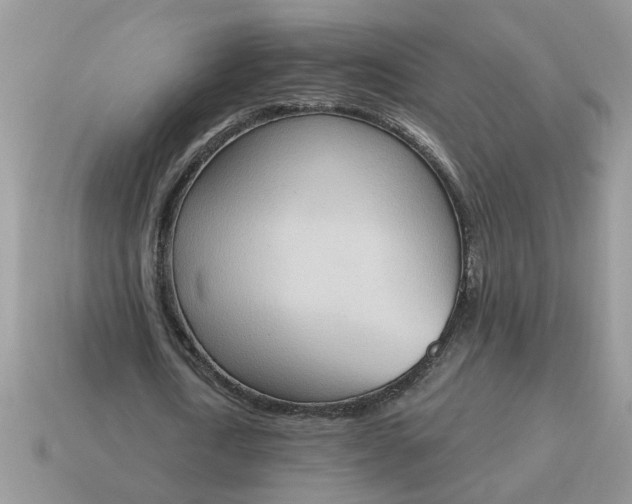 X0000115030722200911091342