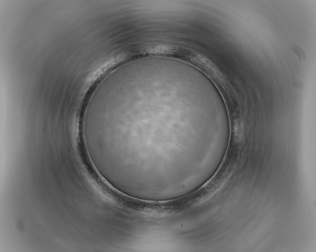 X0000115030725200911091342