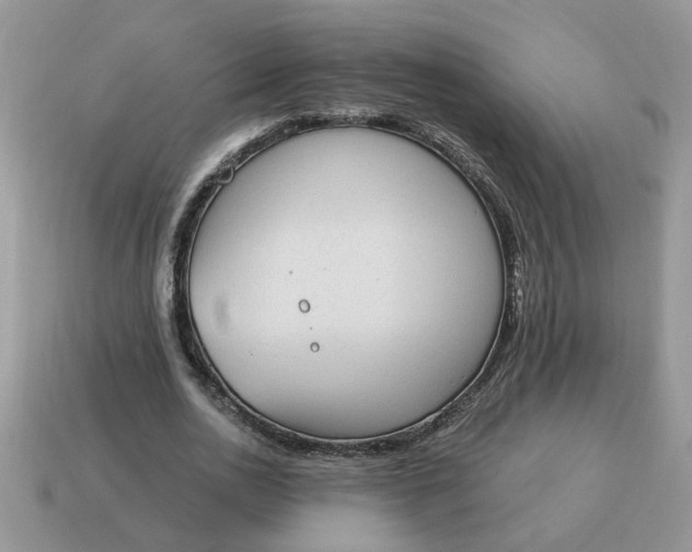 X0000115030726200911091342