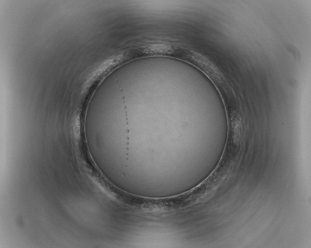 X0000115030729200911091342