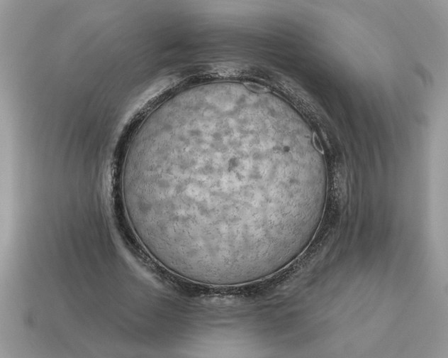 X0000115030730200911091342