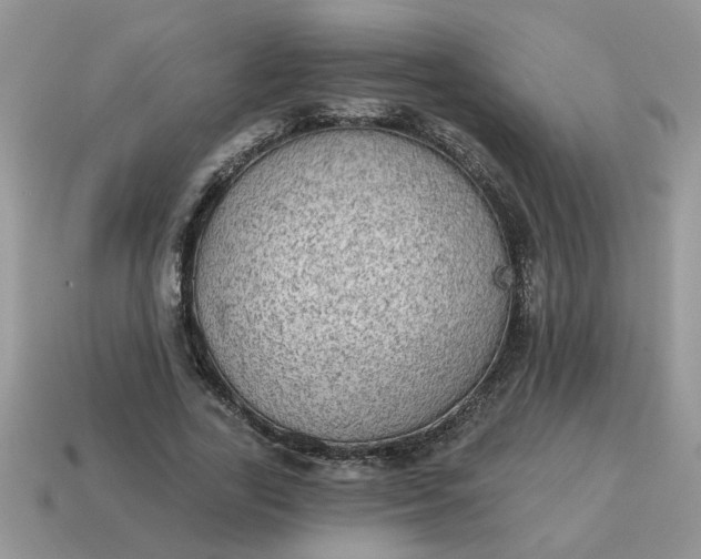 X0000115030731200911091342