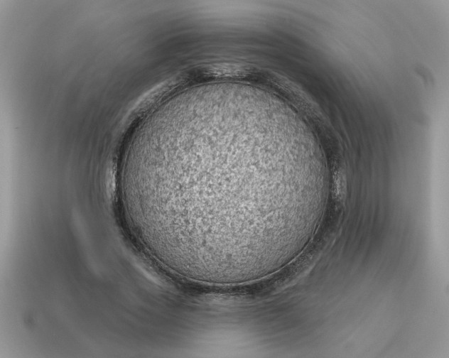 X0000115030733200911091342