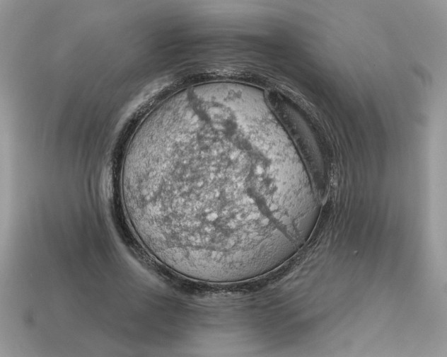 X0000115030734200911091342
