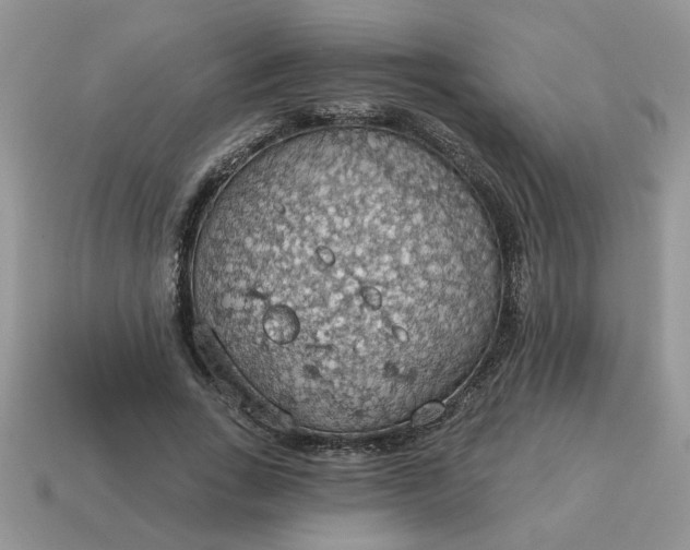 X0000115030735200911091342