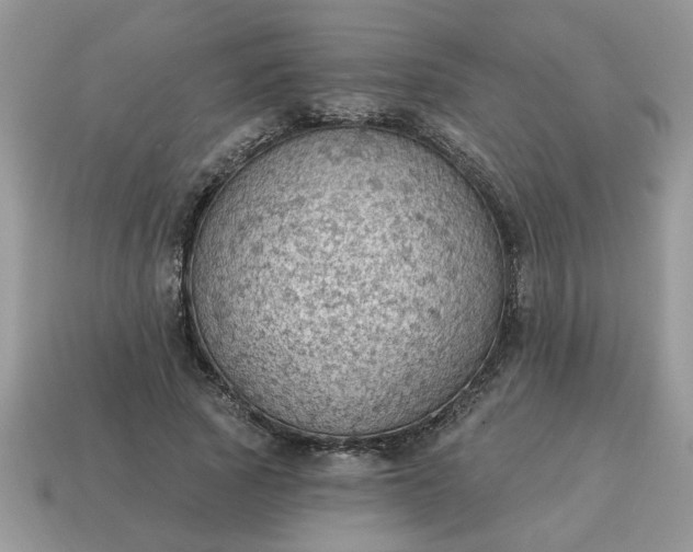 X0000115030737200911091342