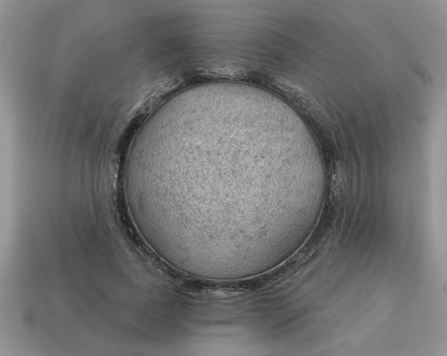 X0000115030739200911091342