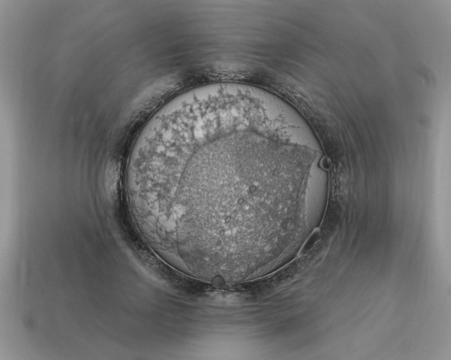 X0000115030742200911091342