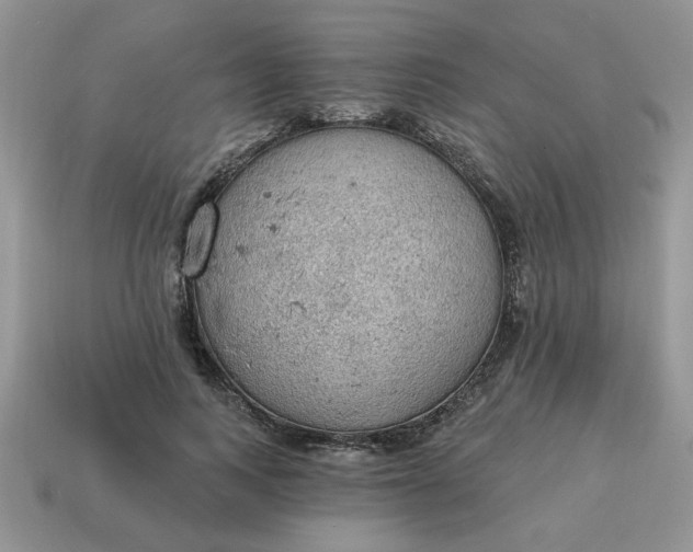 X0000115030743200911091342