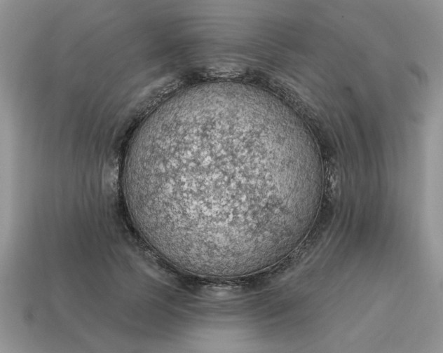 X0000115030745200911091342