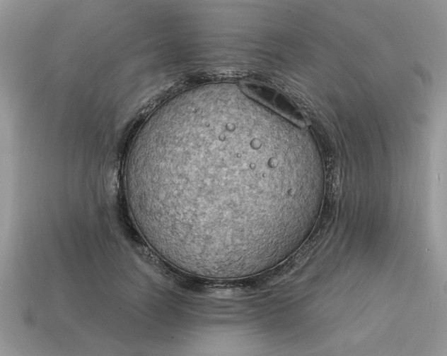 X0000115030746200911091342
