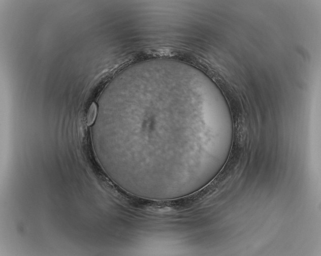 X0000115030747200911091342