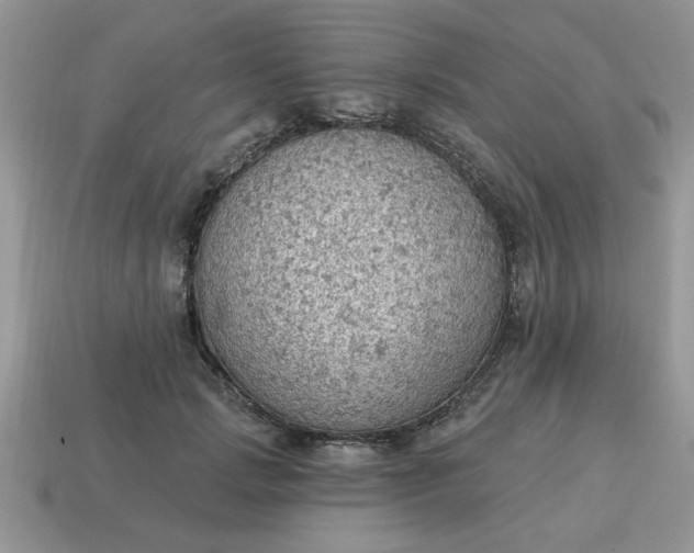 X0000115030749200911091342