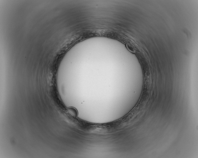 X0000115030750200911091342