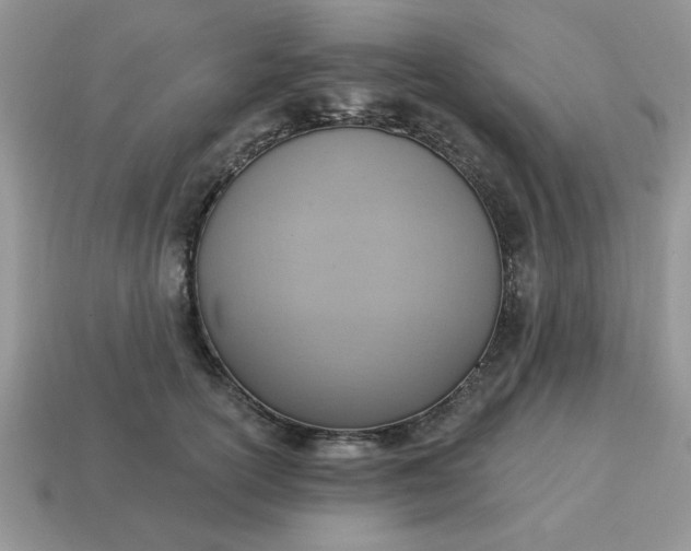 X0000115030754200911091342
