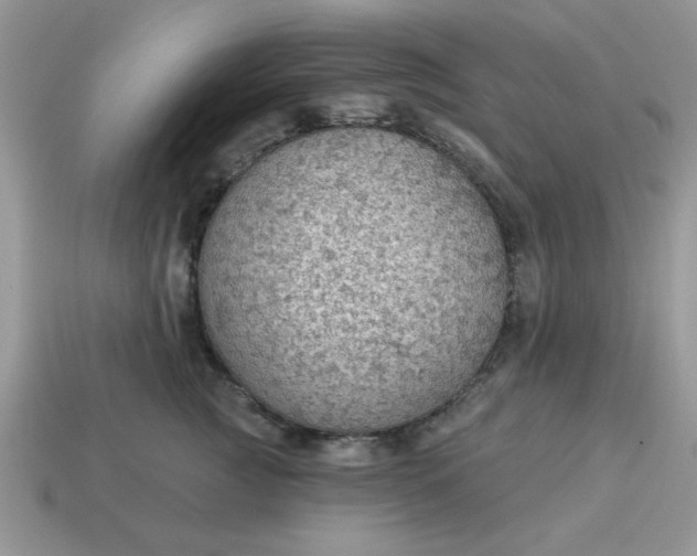 X0000115030761200911091342