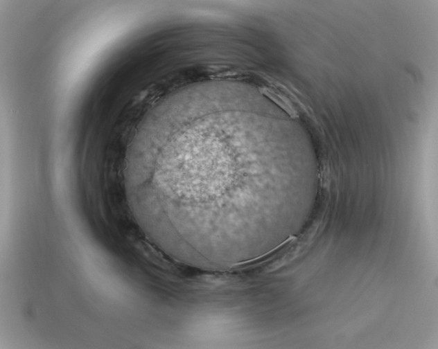 X0000115030763200911091342