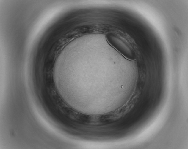 X0000115030766200911091343