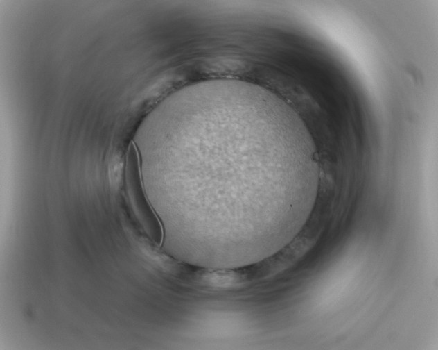 X0000115030767200911091343