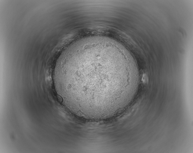 X0000115030771200911091342
