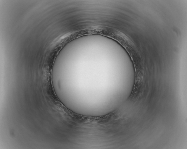 X0000115030773200911091342