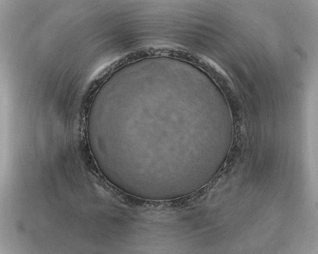 X0000115030775200911091342