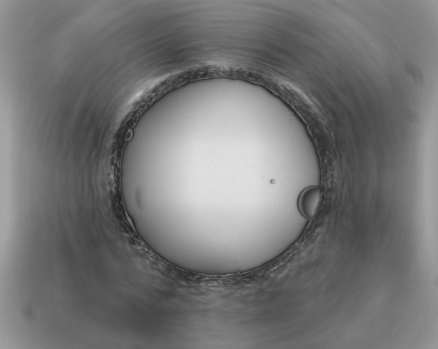 X0000115030776200911091342