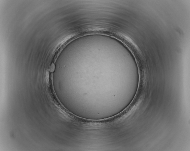 X0000115030777200911091342