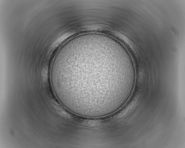 X0000115030778200911091342