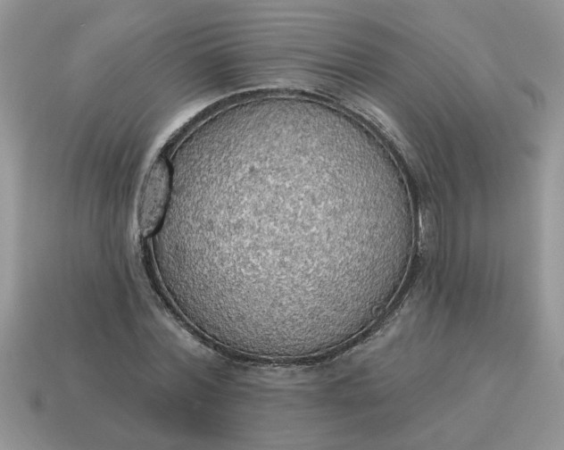 X0000115030780200911091342