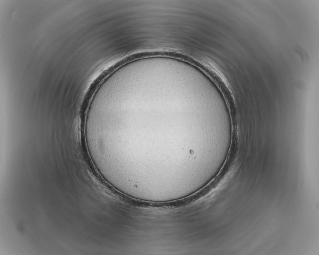 X0000115030781200911091342