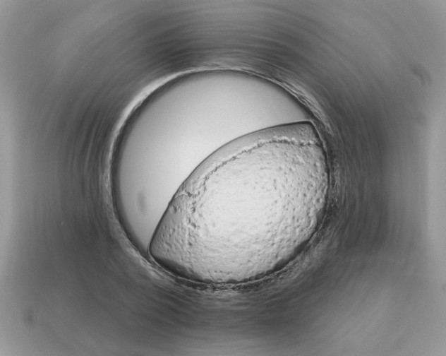 X0000115030784200911091342